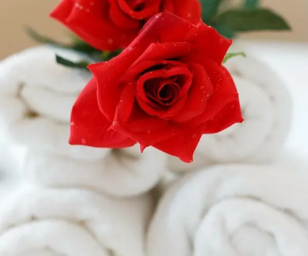 Glyfada || Vakantiehuis Parálion Ástros